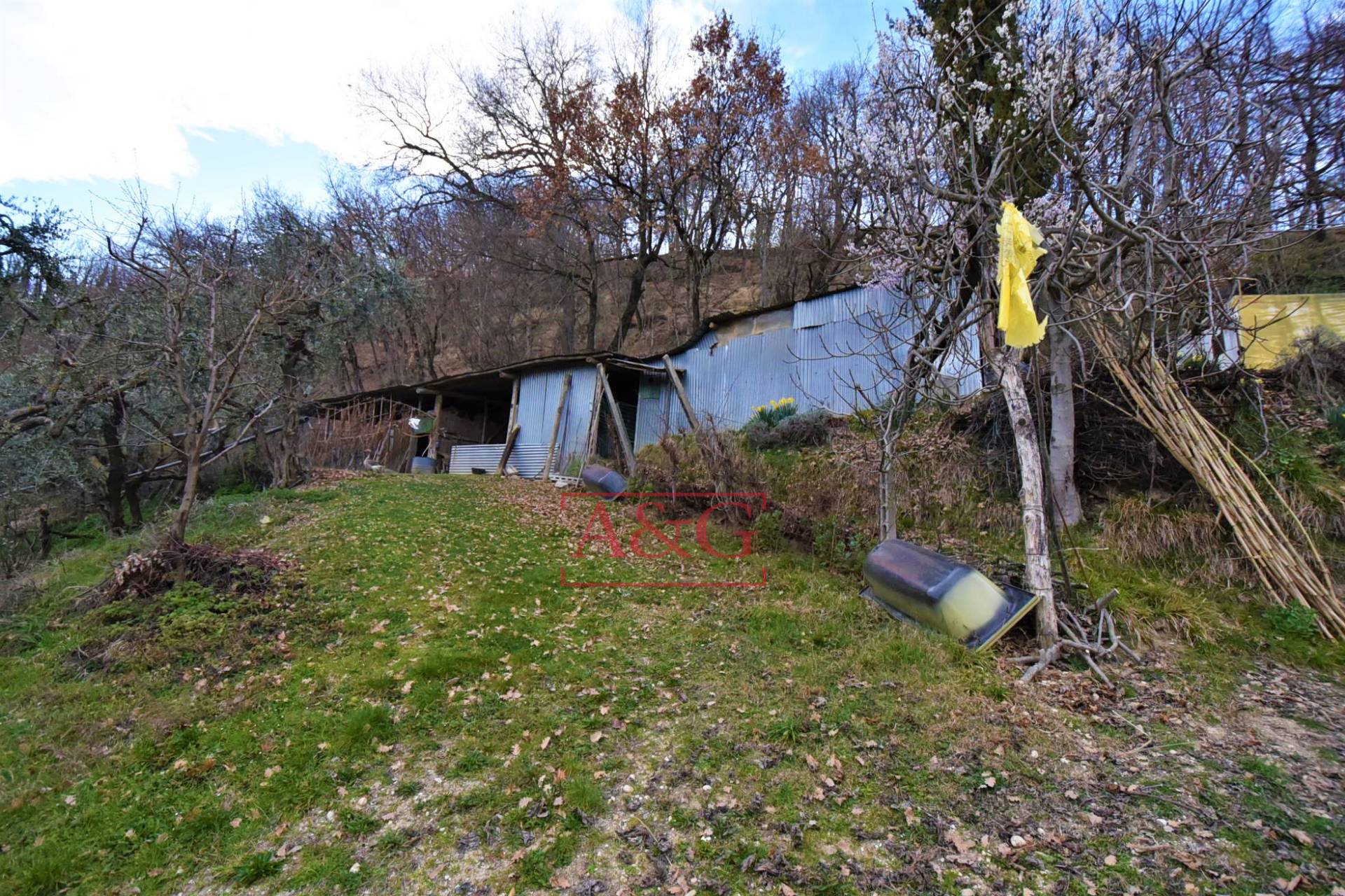 immagine annuncio 2 di 10