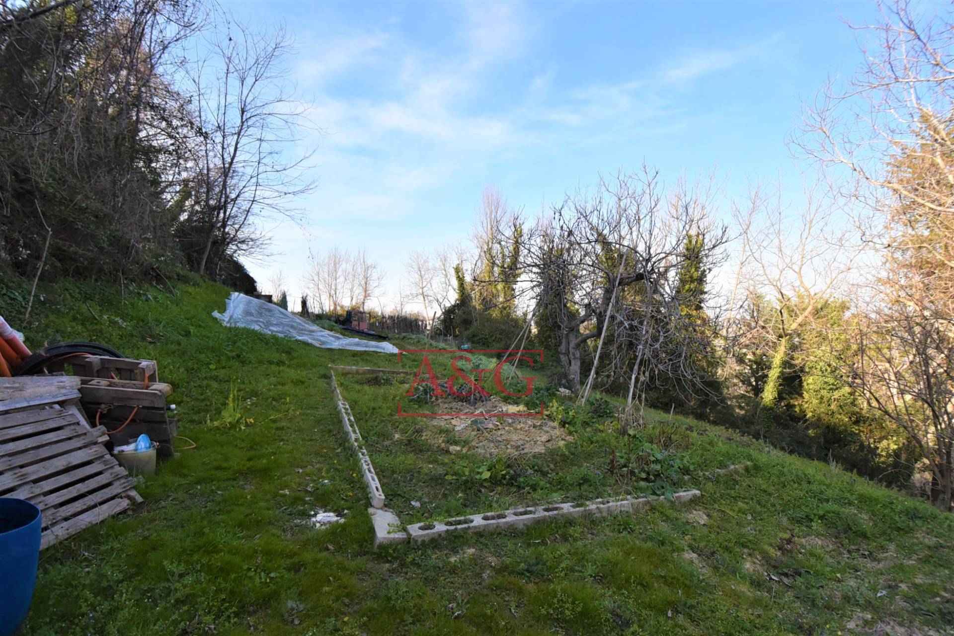 Casa singola in vendita a Montelparo, Centro