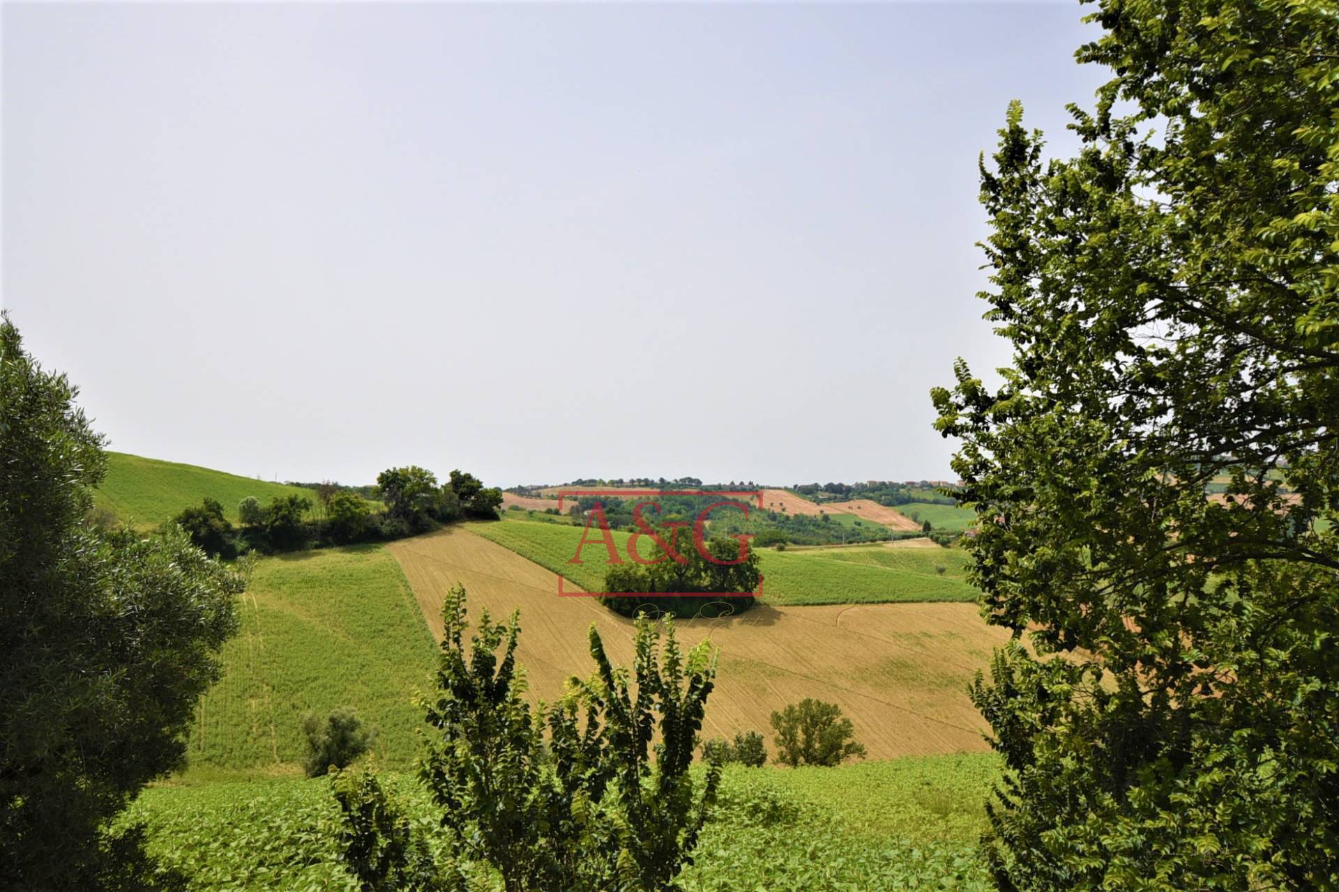 Terreno Agricolo in vendita a Torre San Patrizio, Centro