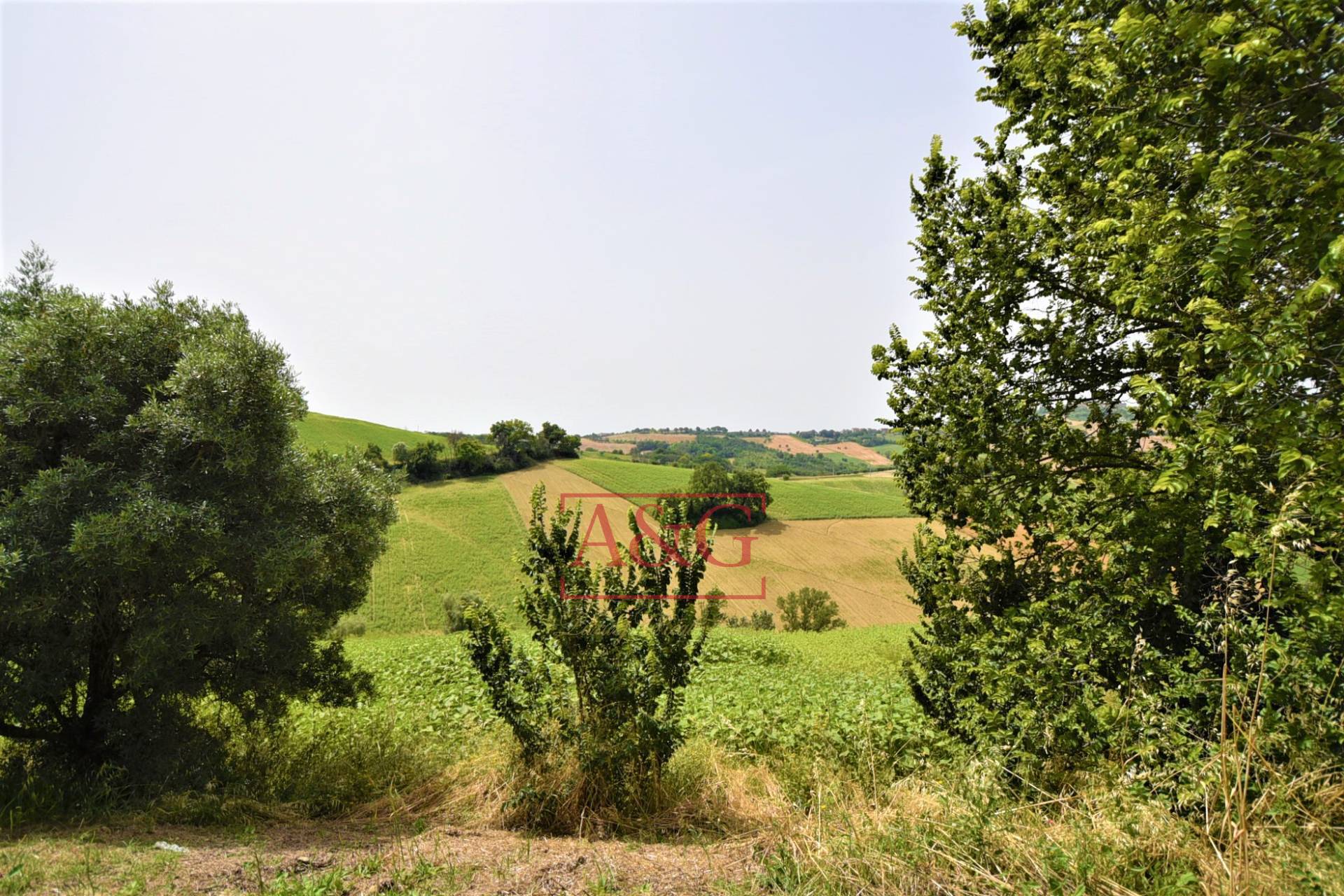 Terreno Agricolo in vendita a Torre San Patrizio, Centro