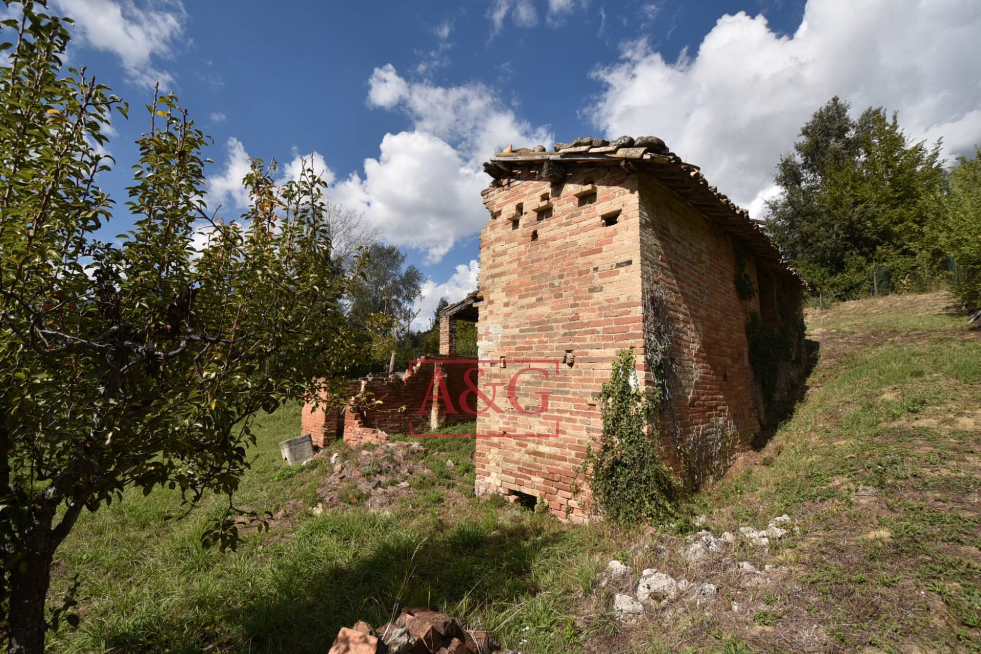 immagine annuncio 2 di 10