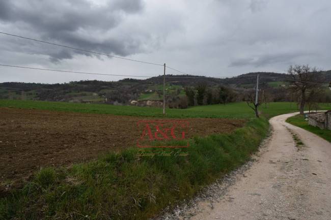 Terreno Agricolo in vendita a Sarnano, Campagna