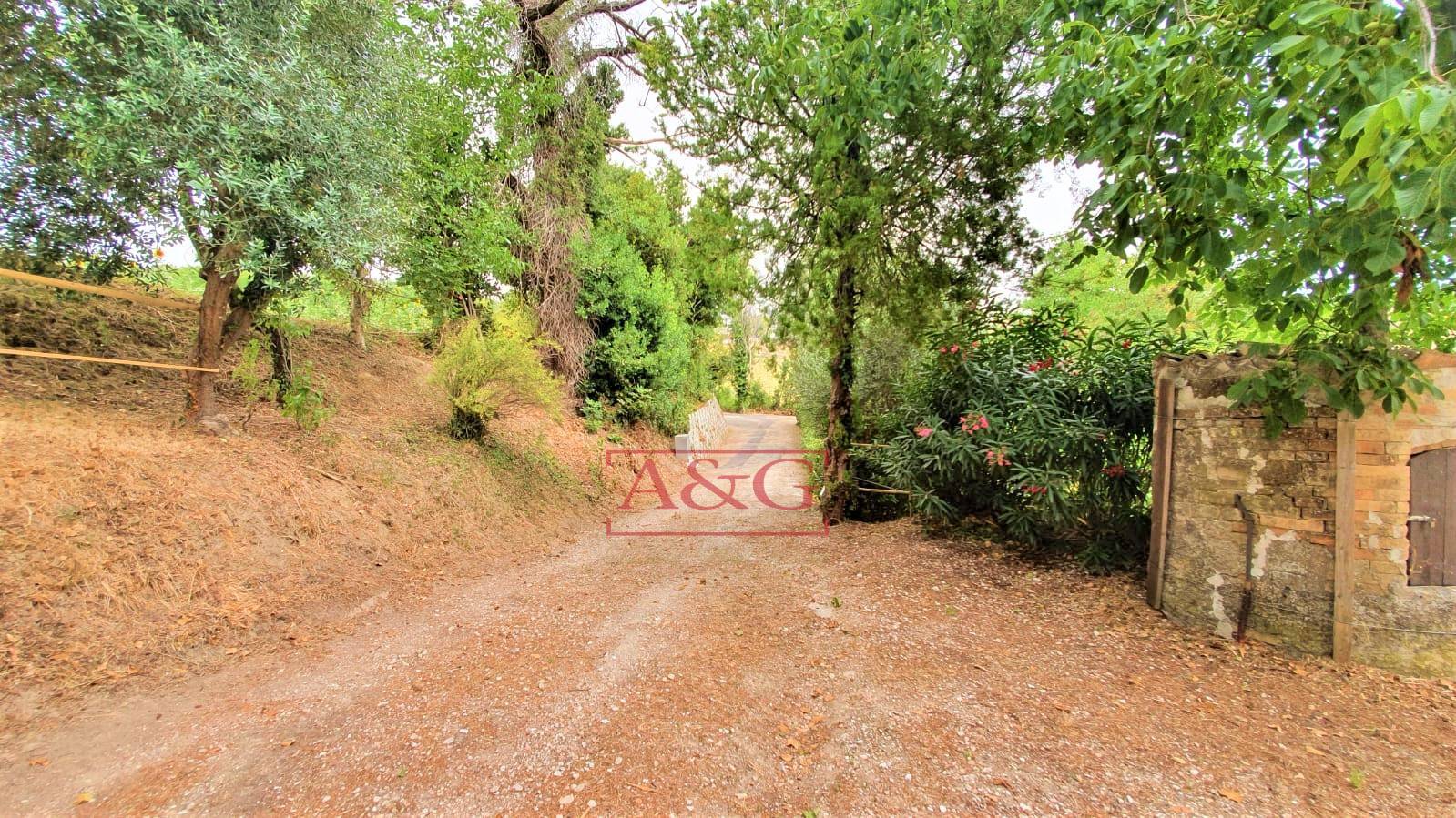 Casale in vendita a Belmonte Piceno, Campagna