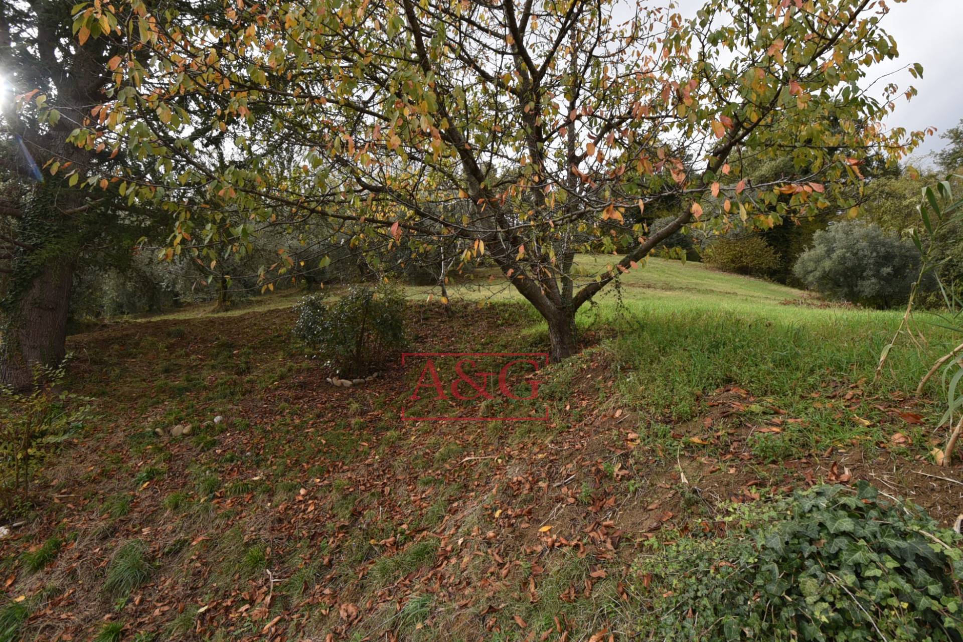 Casale in vendita a Penna San Giovanni, CAMPAGNA