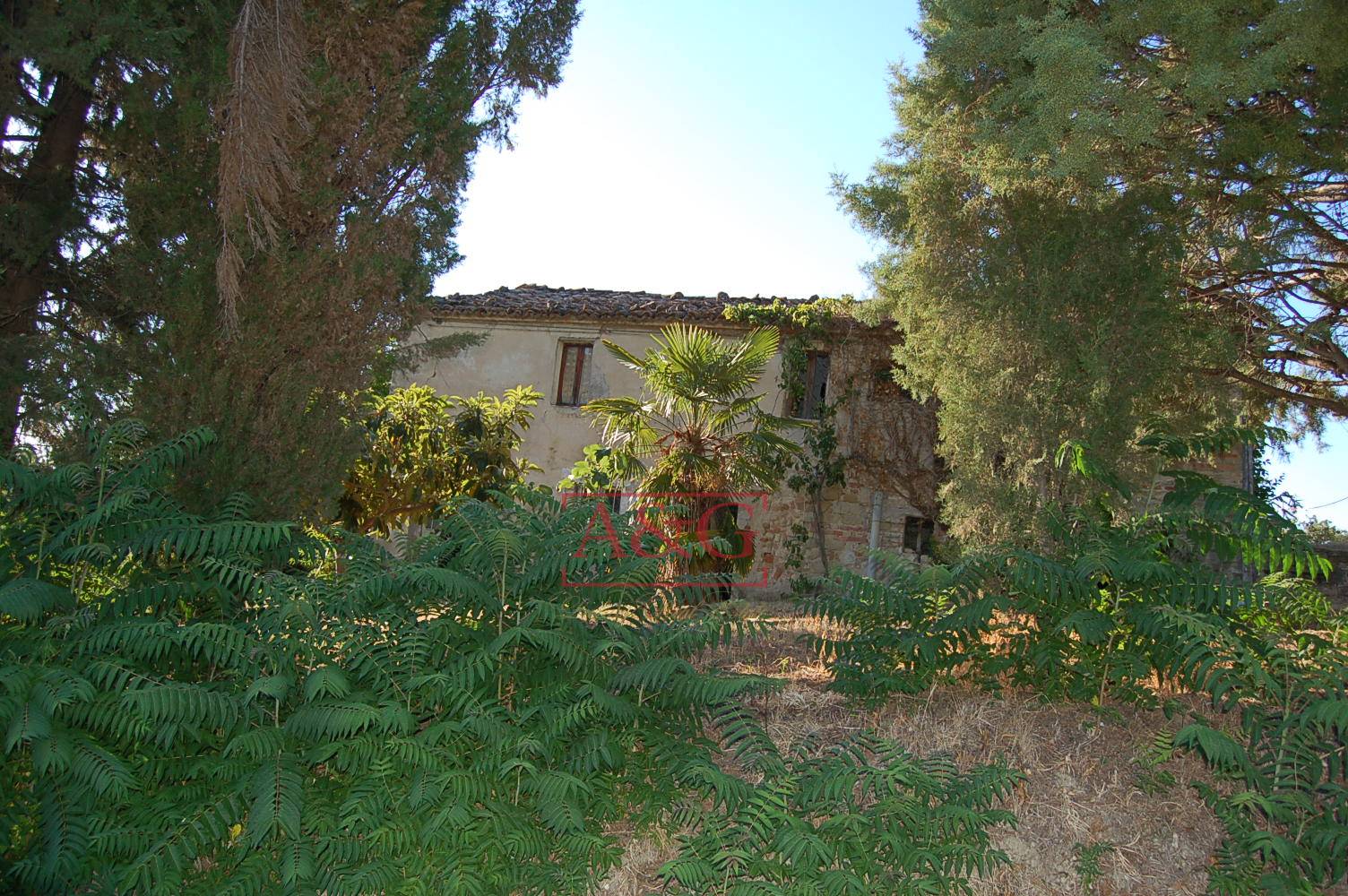 Casa colonica in vendita a Ripe San Ginesio, CAMPAGNA