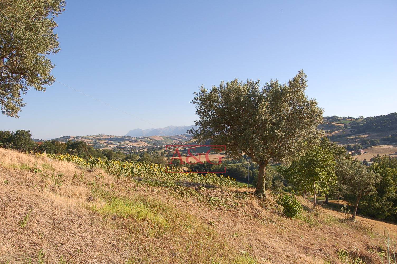 Casa colonica in vendita a Ripe San Ginesio, CAMPAGNA