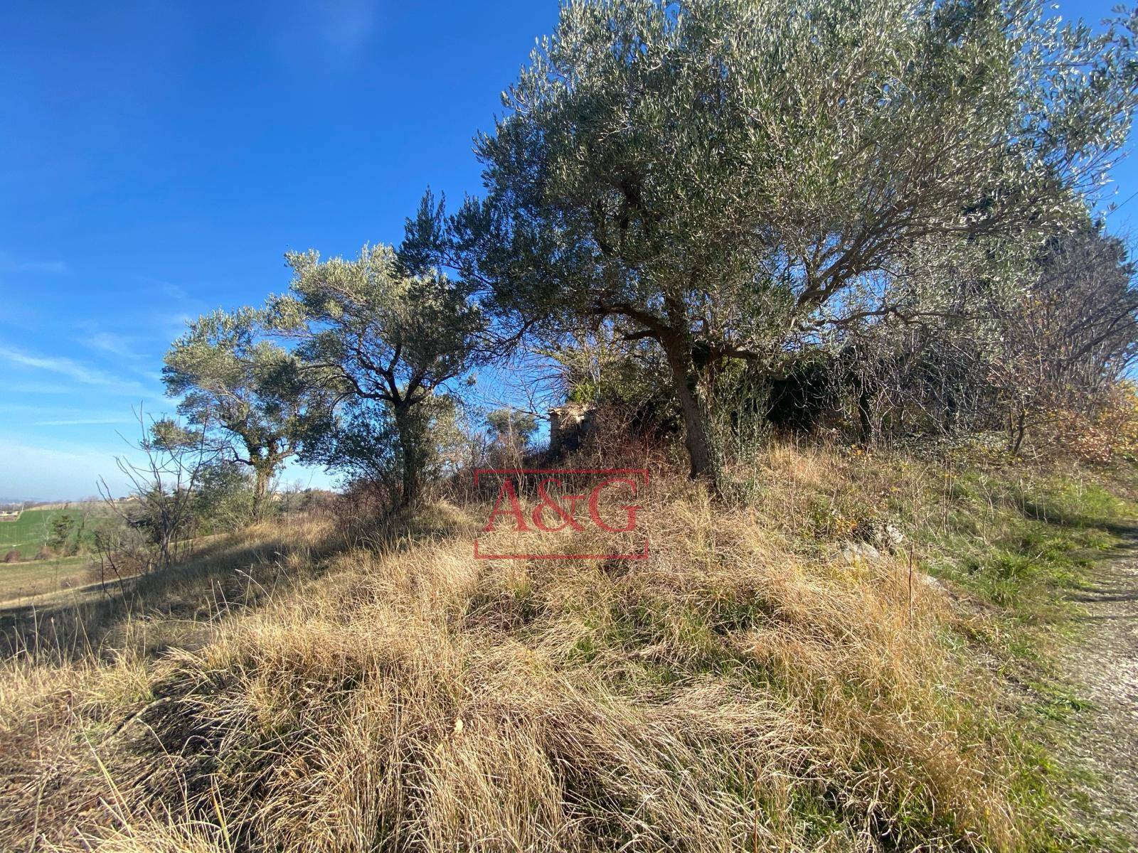 Casa colonica in vendita a Ripe San Ginesio, CAMPAGNA