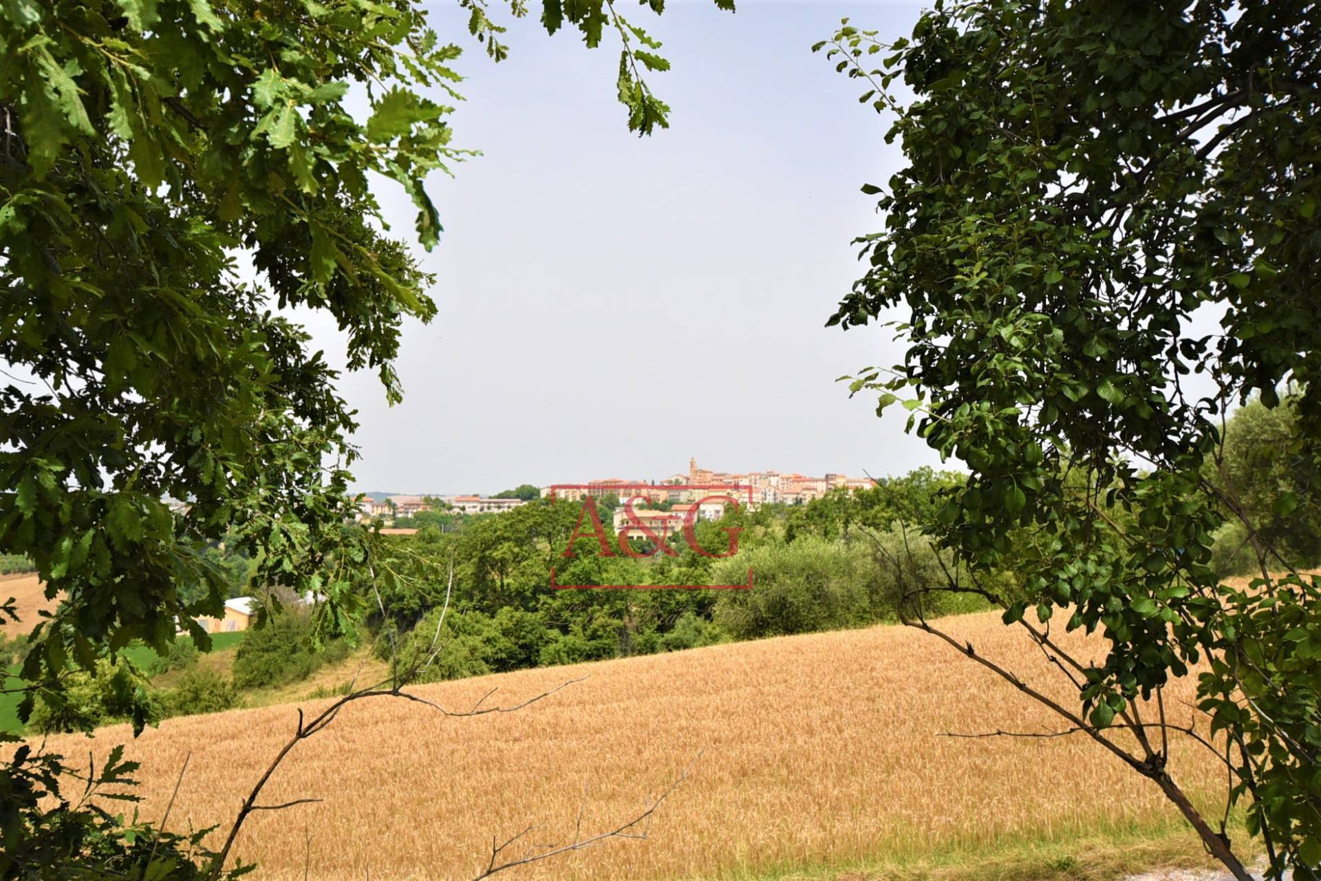 Terreno Agricolo in vendita a Torre San Patrizio, Centro