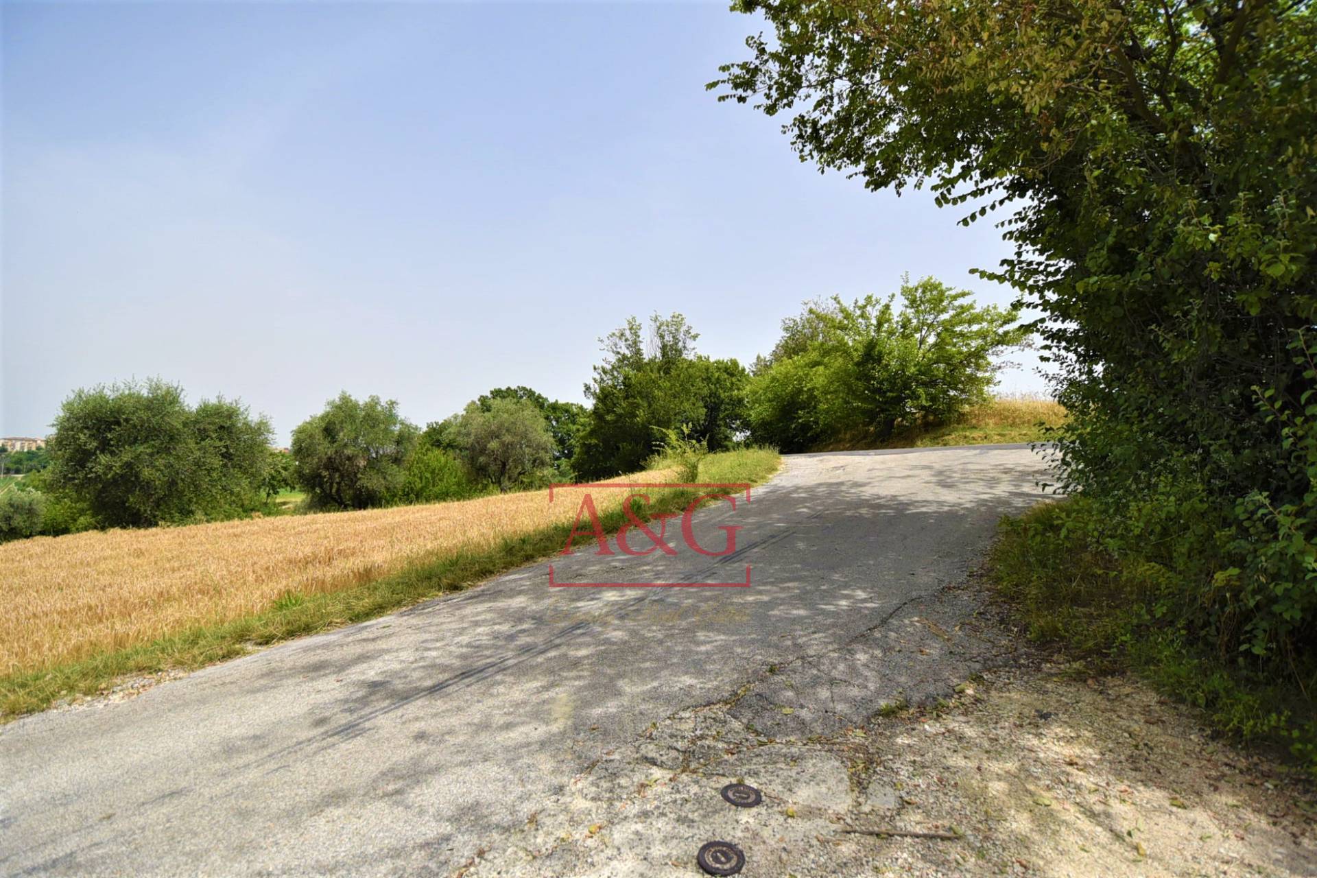 Terreno Agricolo in vendita a Torre San Patrizio, Centro
