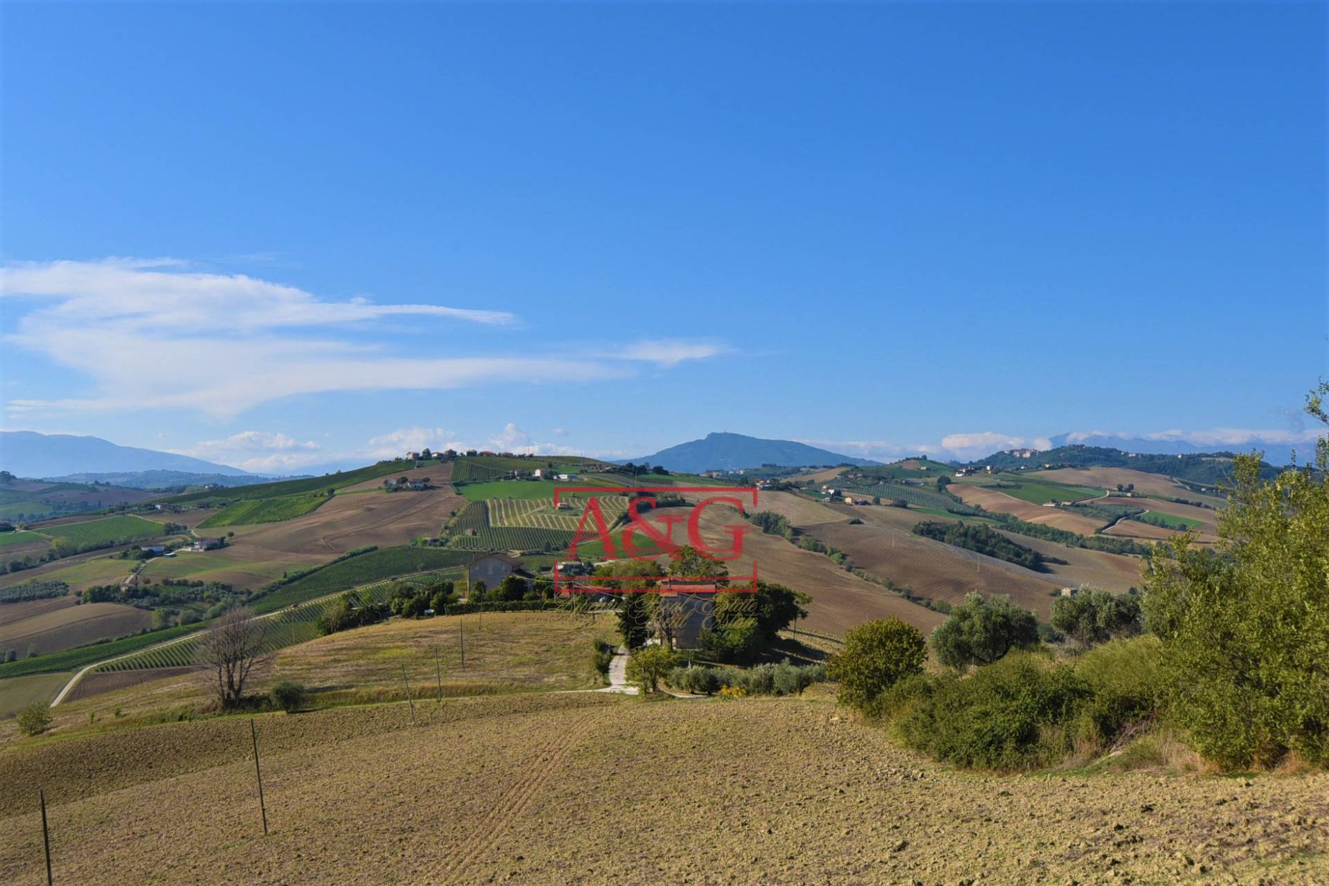 Terreno Agricolo in vendita a Carassai, Periferia