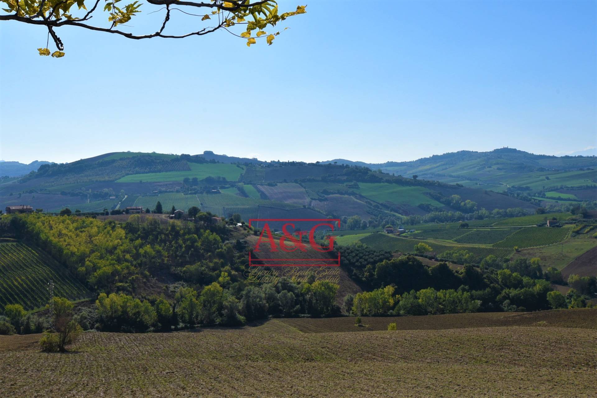 Terreno Agricolo in vendita a Carassai, Periferia