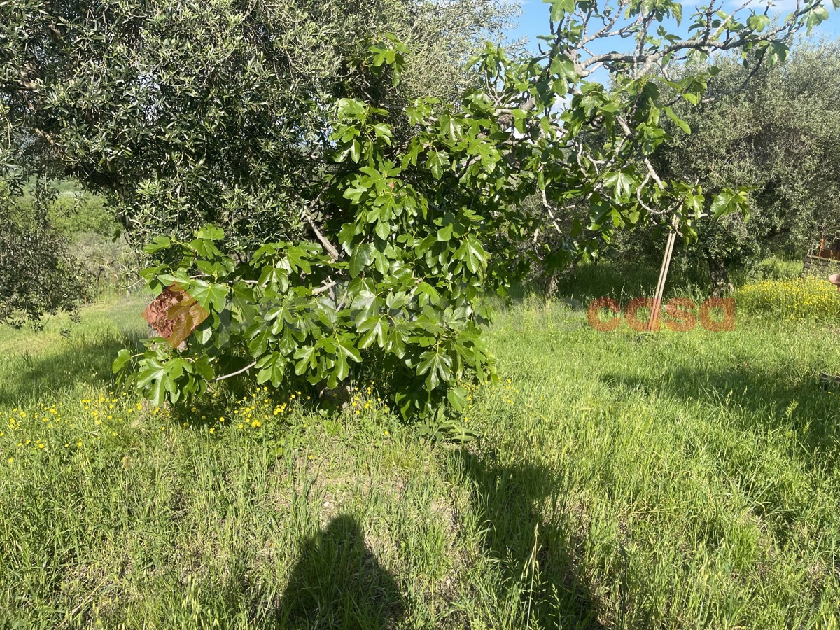 Terreno Edificabile in vendita a Minturno