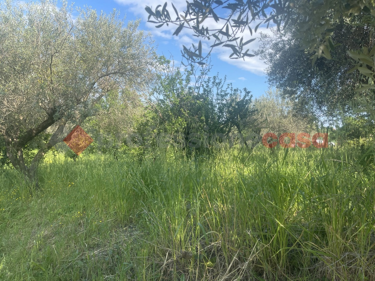 Terreno Edificabile in vendita a Minturno