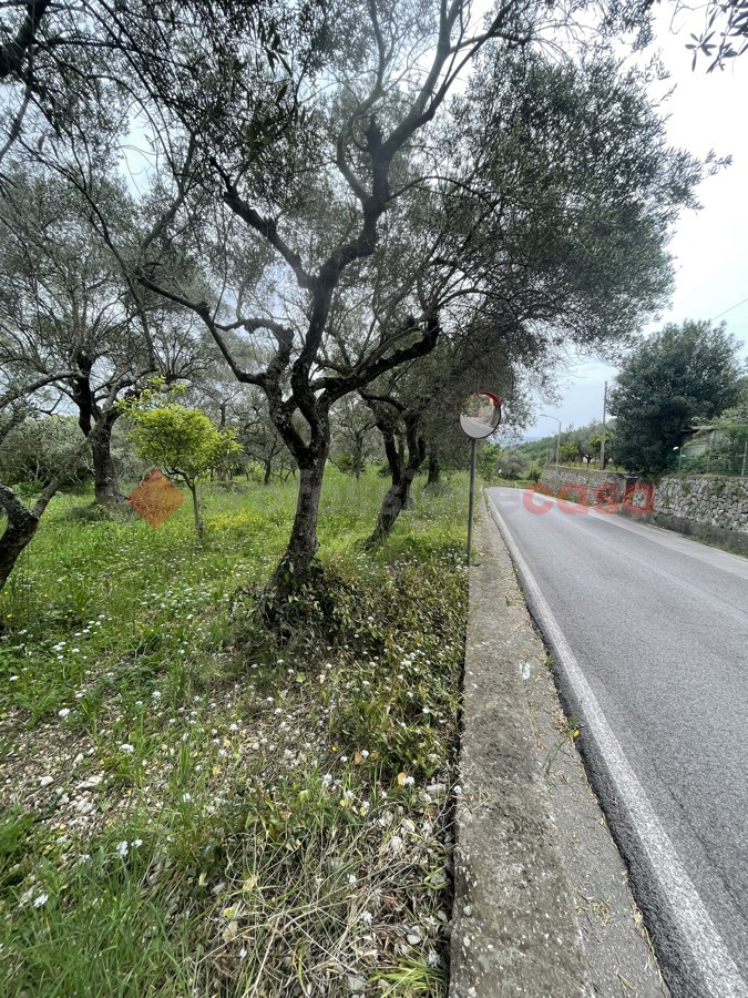 Terreno Agricolo in vendita a Santi Cosma e Damiano