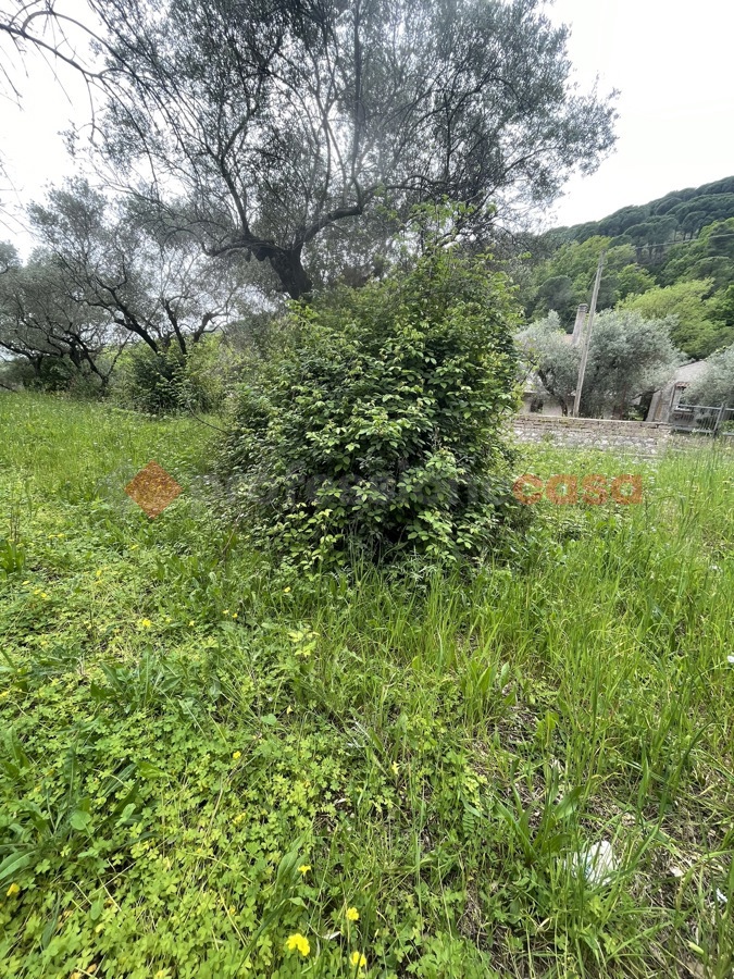 Terreno Agricolo in vendita a Santi Cosma e Damiano