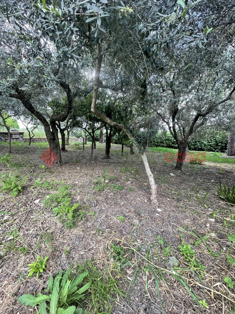 Villa arredata in affitto a Minturno