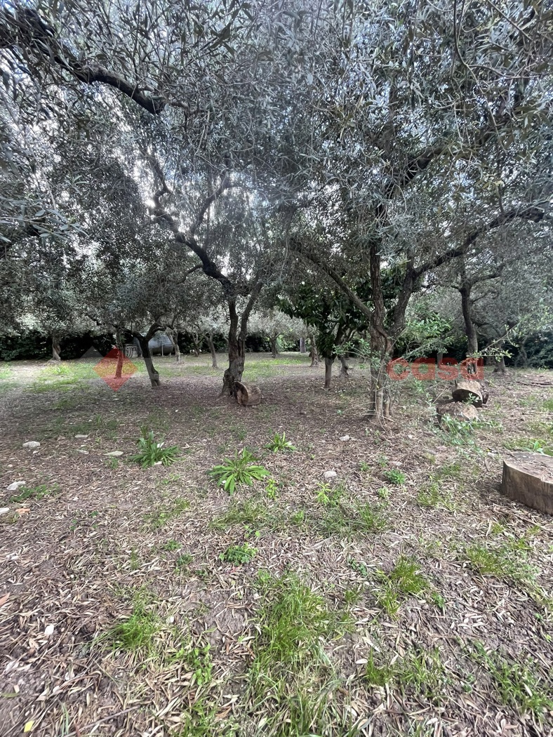 Villa arredata in affitto a Minturno