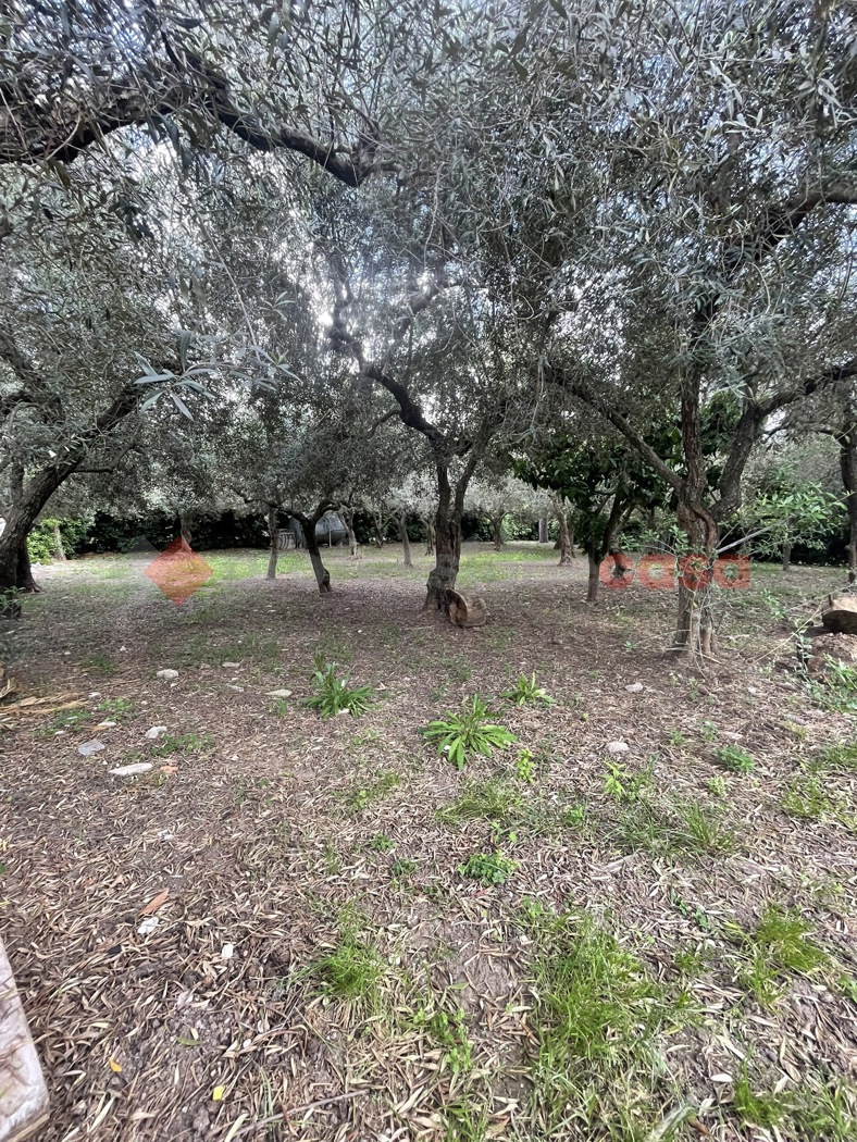 Villa arredata in affitto a Minturno