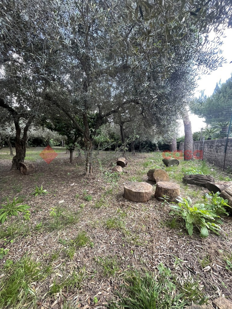 Villa arredata in affitto a Minturno