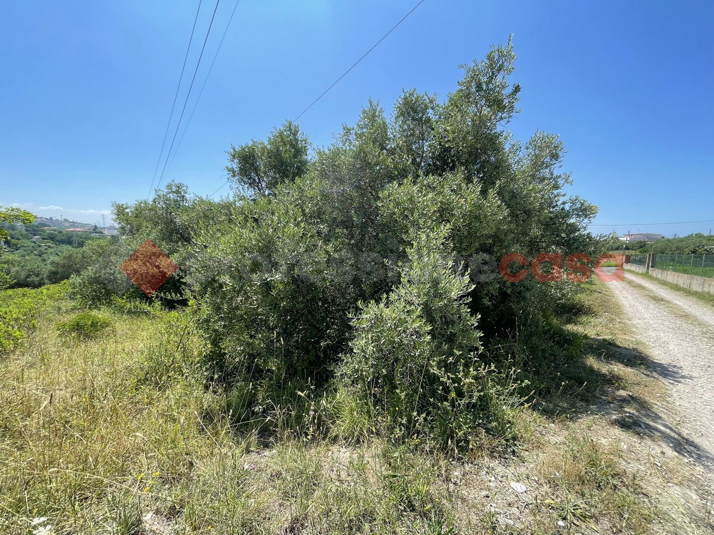 Terreno Agricolo in vendita a Minturno