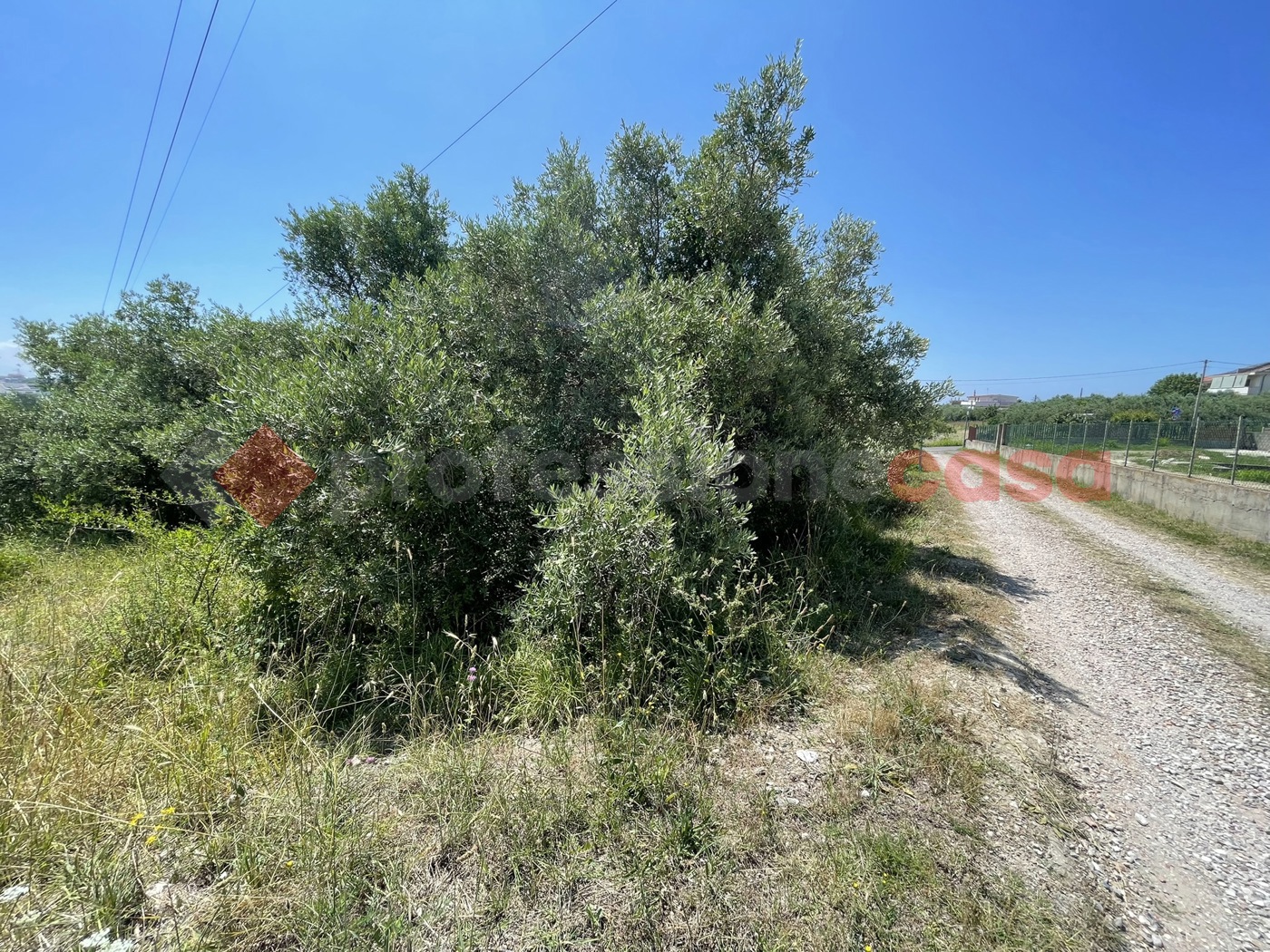 Terreno Agricolo in vendita a Minturno
