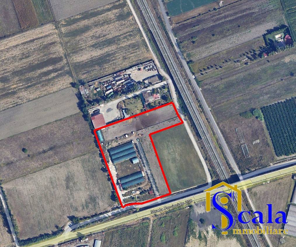 Terreno Agricolo in vendita a San Tammaro, Carditello