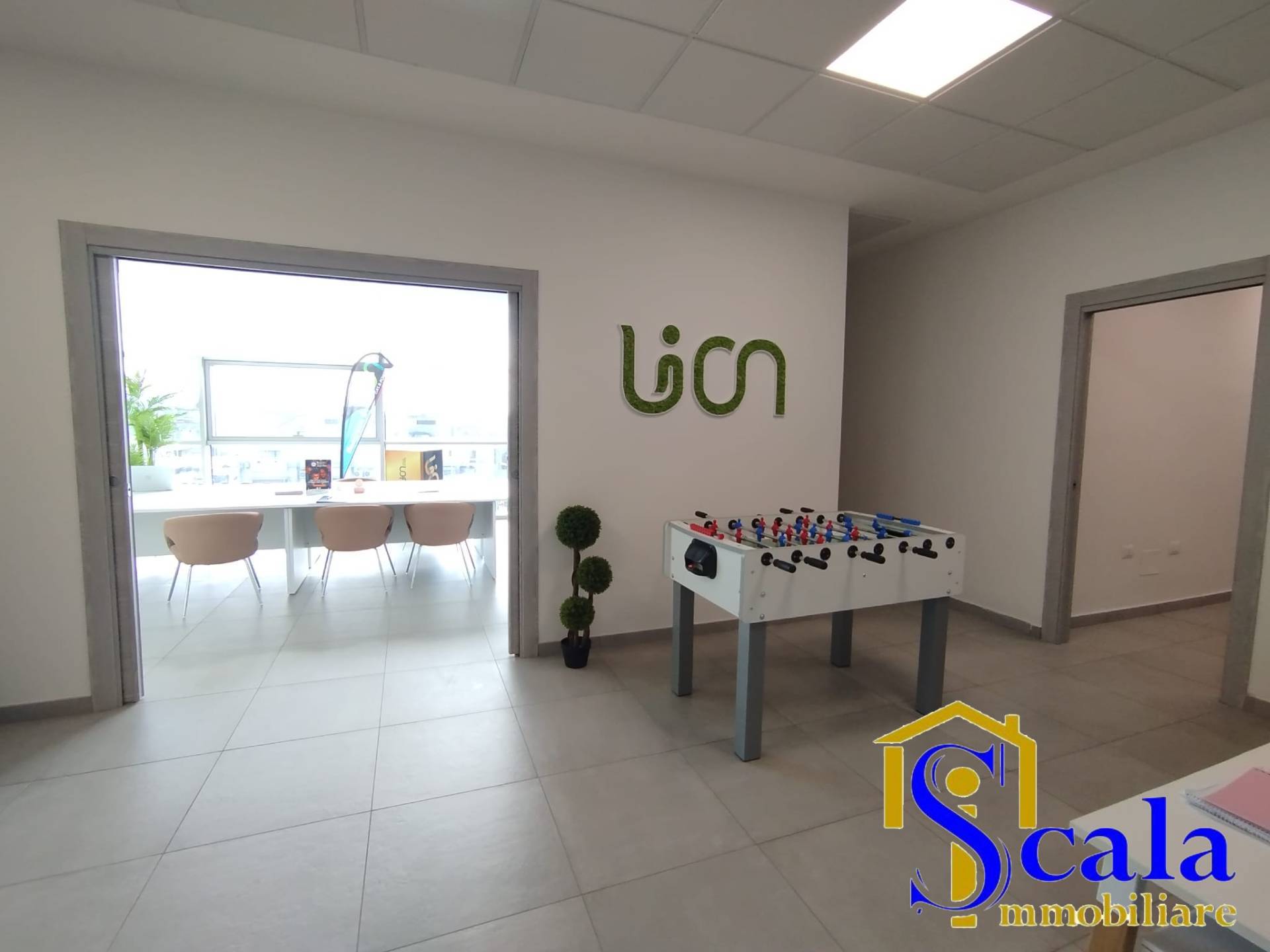 immagine annuncio 1 di 6