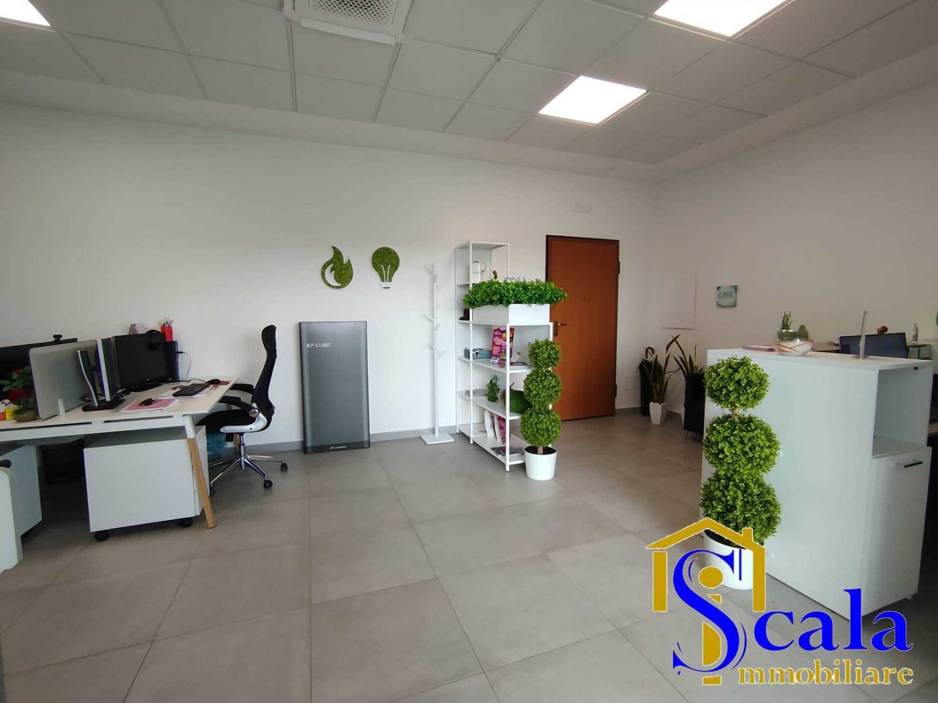 immagine annuncio 4 di 6