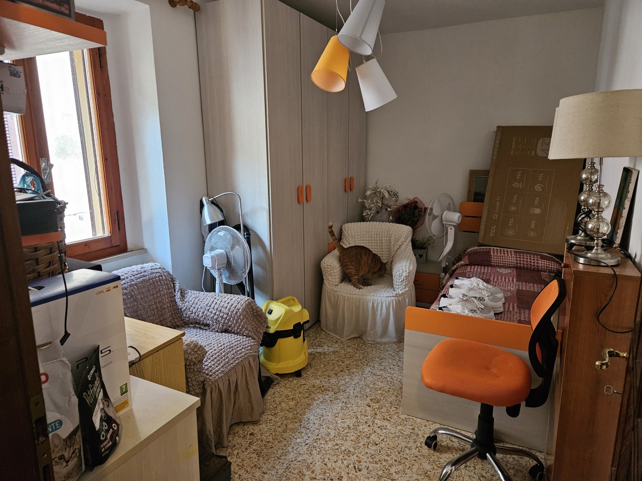 immagine annuncio 6 di 10