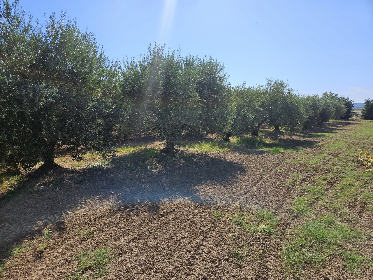 Terreno in vendita a Scarlino