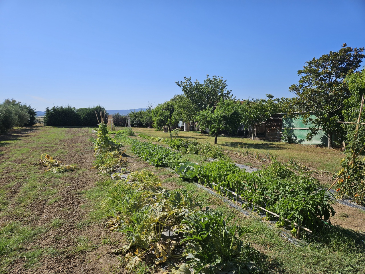 Terreno in vendita a Scarlino