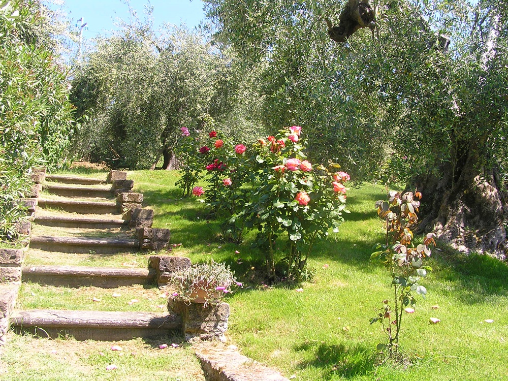 Rustico in vendita a Scarlino