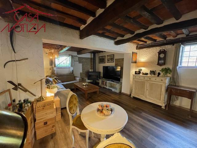 Rustico / casale in vendita a Camaiore, ORBICCIANO