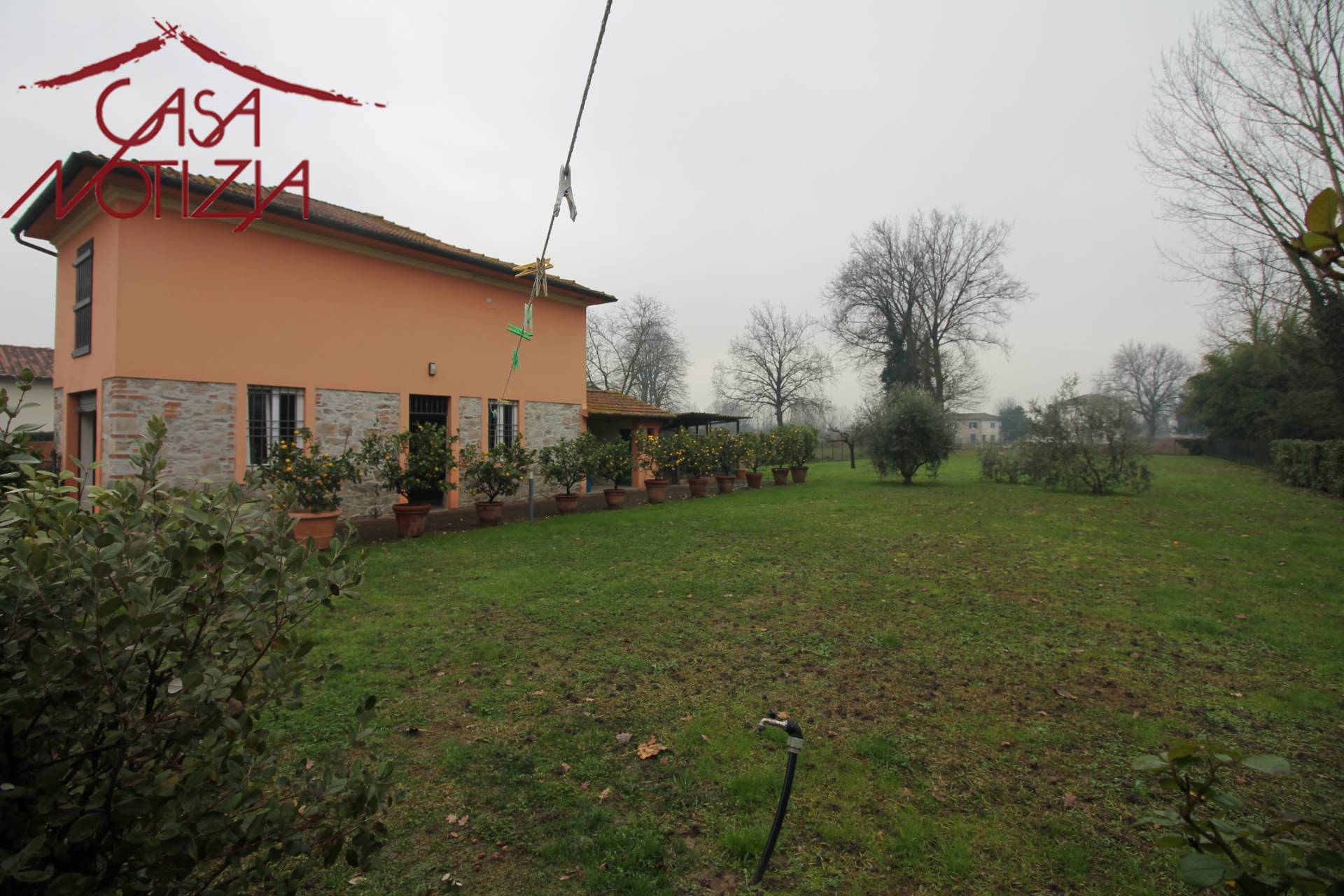 immagine annuncio 3 di 6