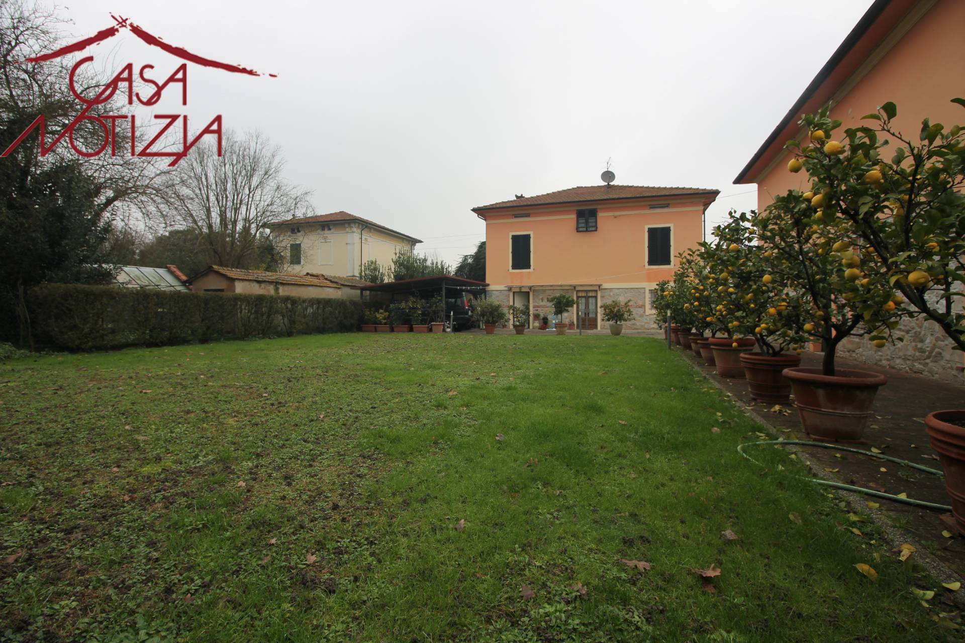 immagine annuncio 4 di 6