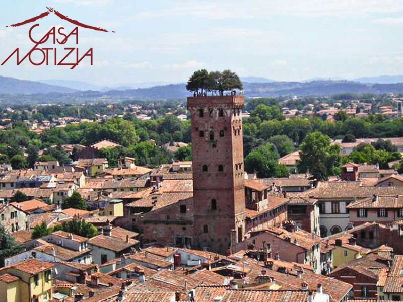 Negozio in vendita a Lucca, San Concordio Contrada