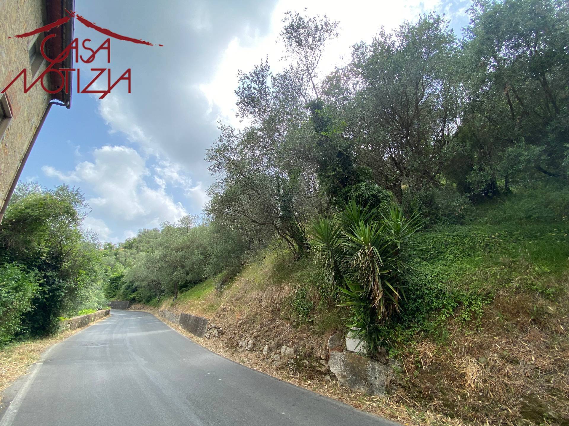 Rustico in vendita a Massarosa, Pieve a Elici