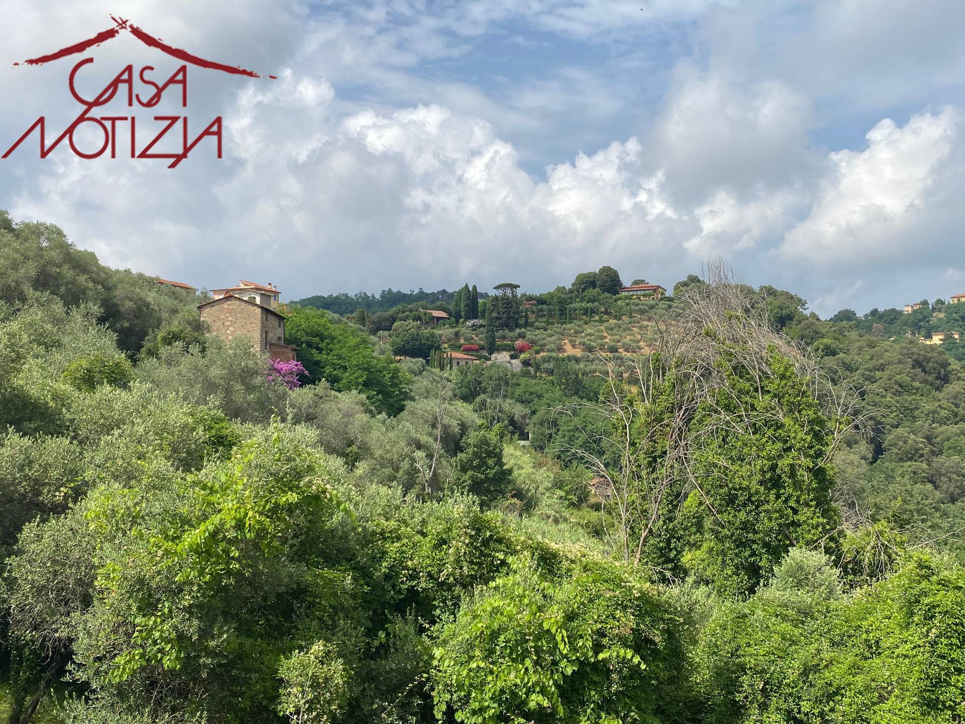 Rustico in vendita a Massarosa, Pieve a Elici