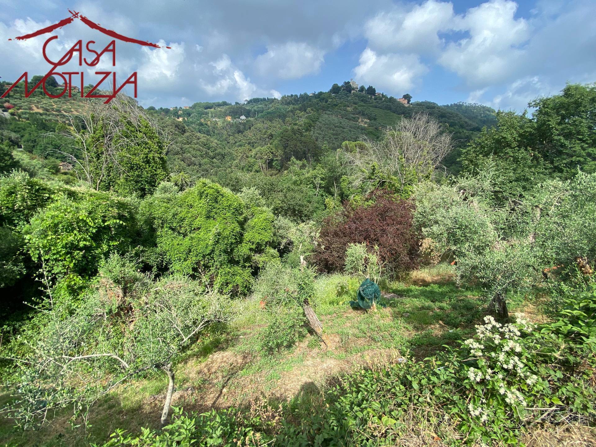 Rustico in vendita a Massarosa, Pieve a Elici