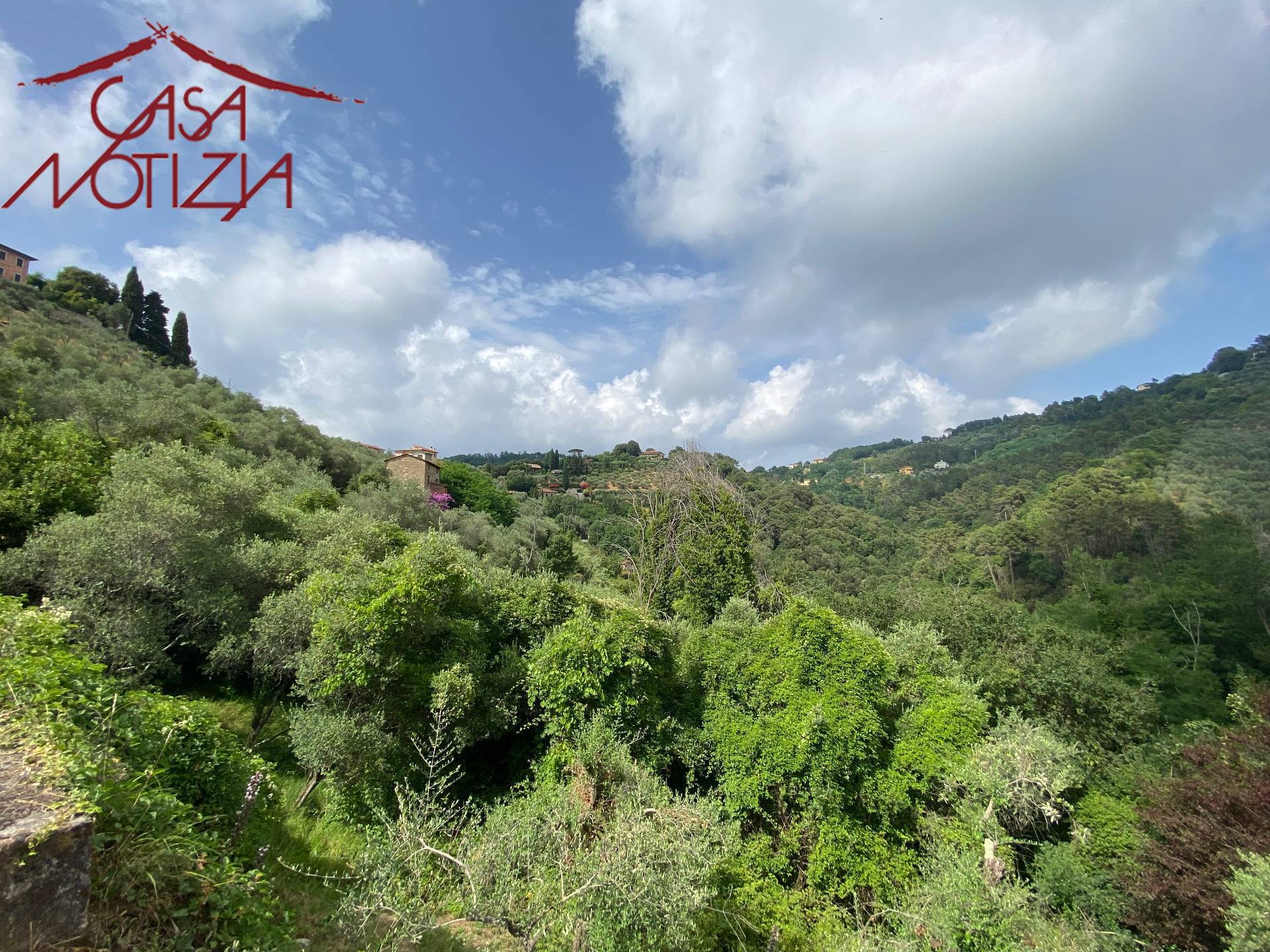 Rustico in vendita a Massarosa, Pieve a Elici