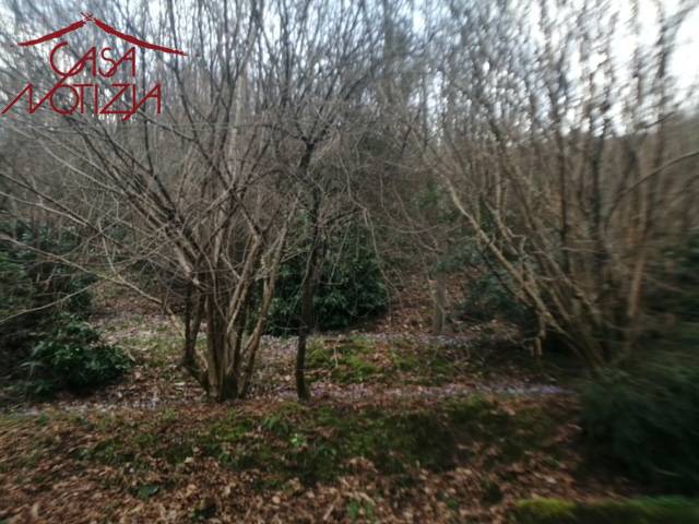 Villetta in vendita a Bagni di Lucca