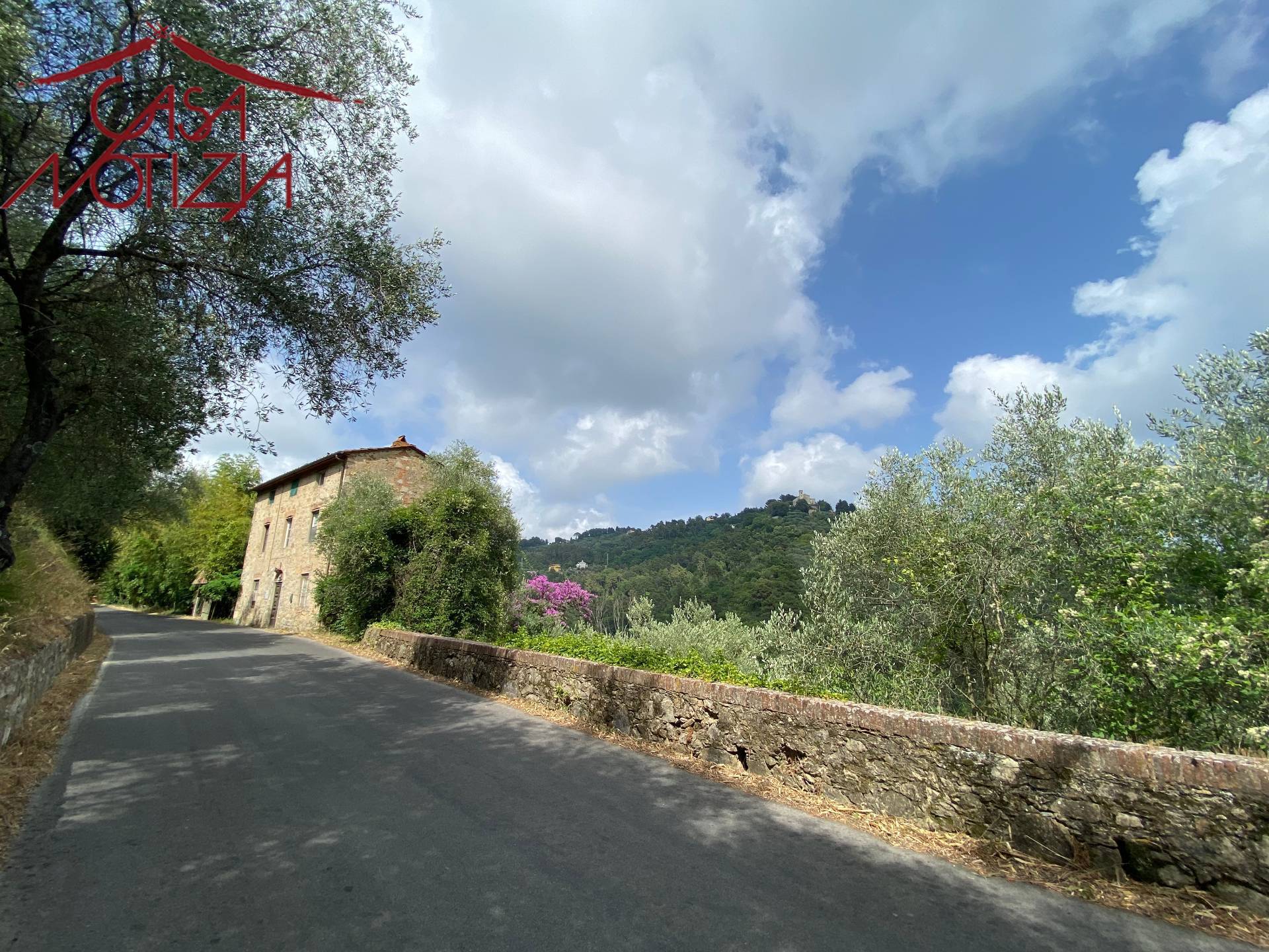 Rustico in vendita a Massarosa, Pieve a Elici