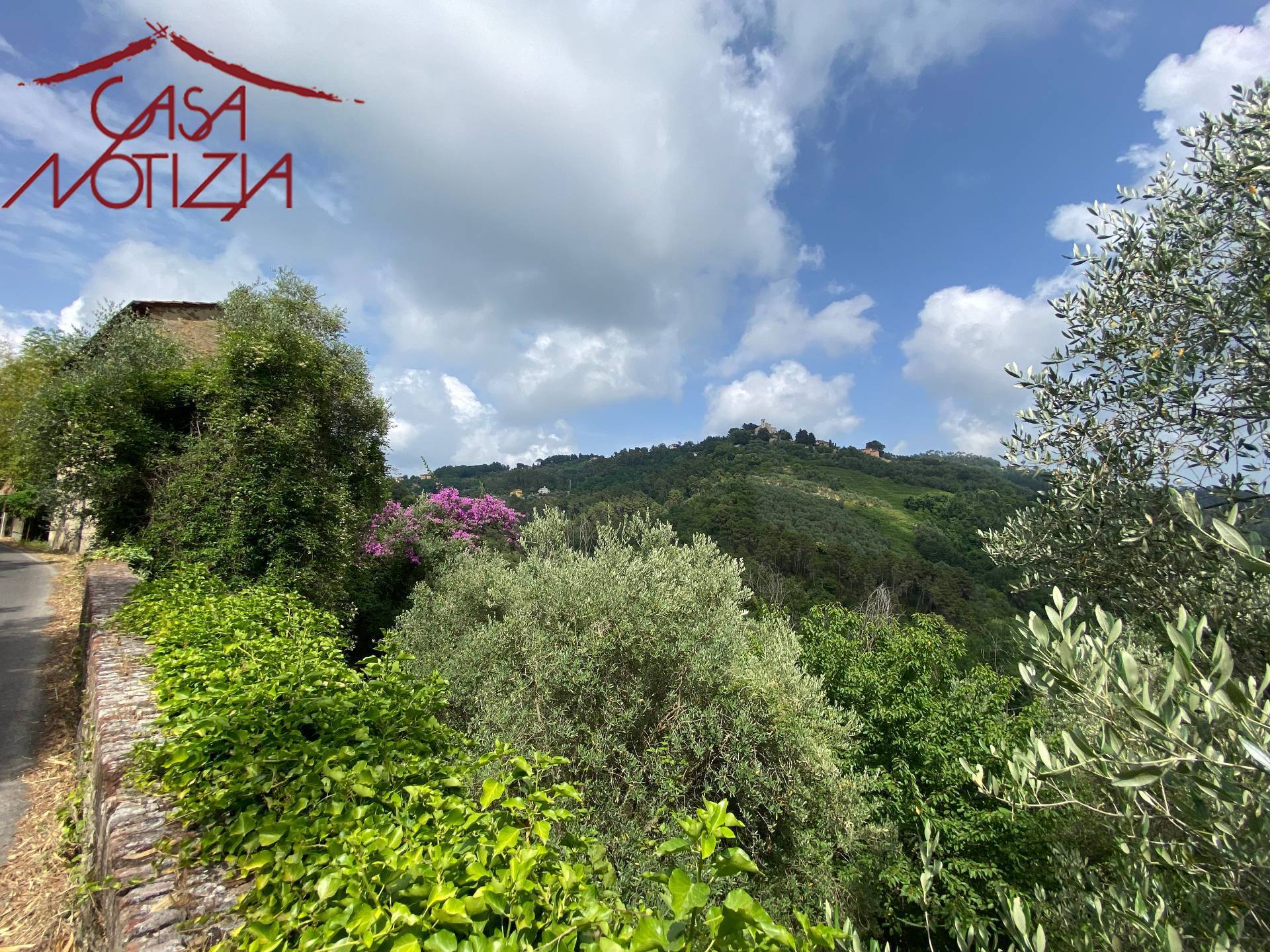 Rustico in vendita a Massarosa, Pieve a Elici