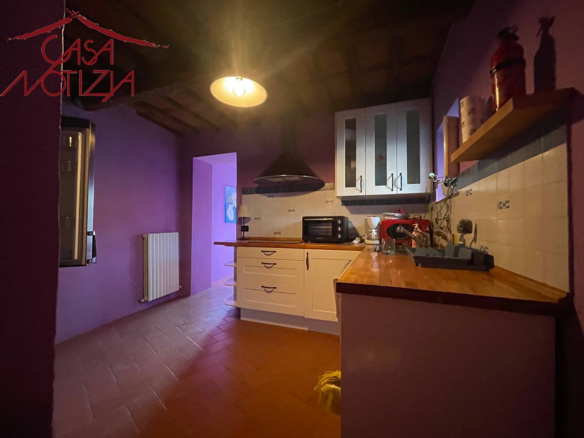 Rustico / casale in vendita a Camaiore, ORBICCIANO