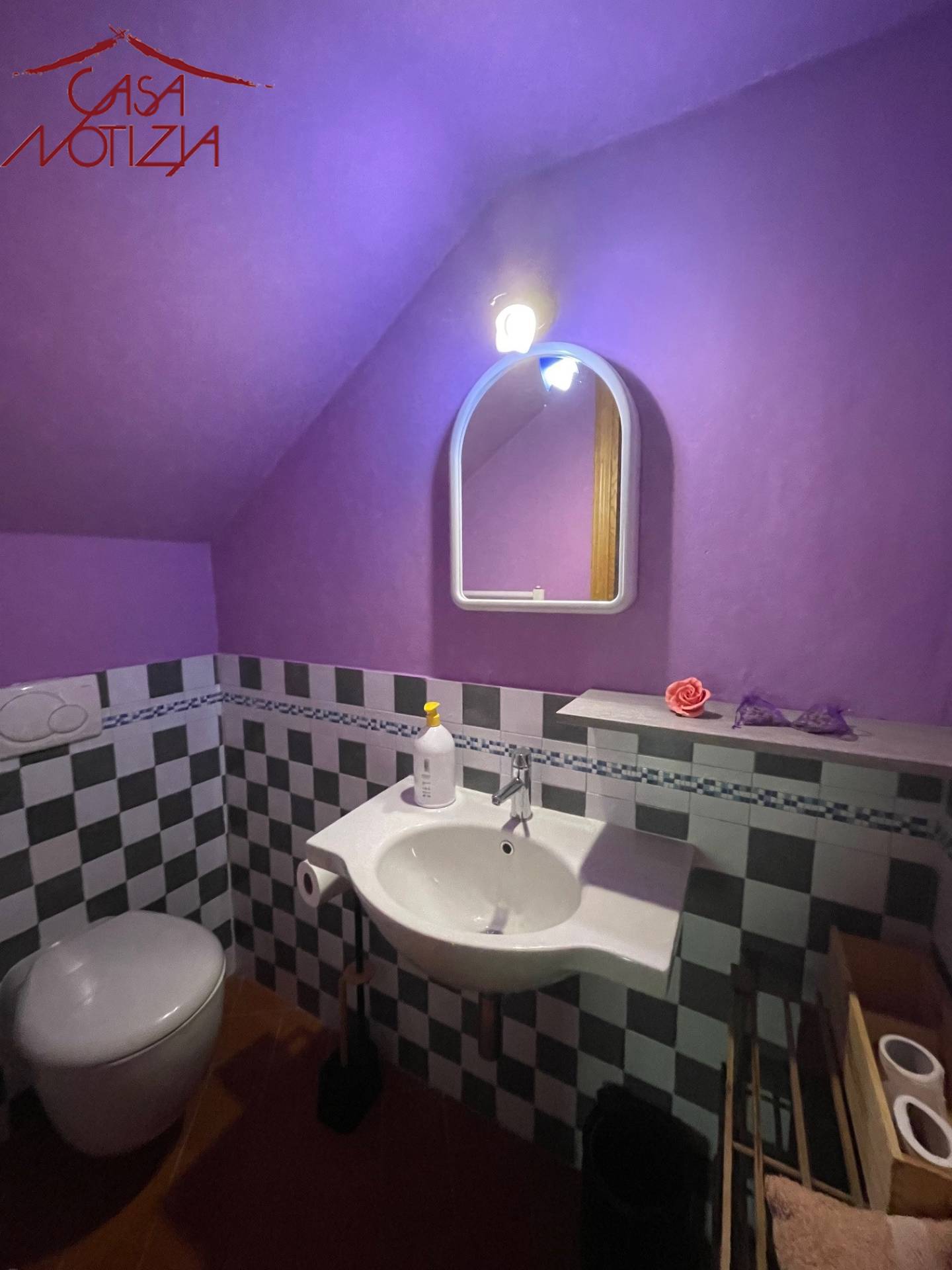 Rustico / casale in vendita a Camaiore, ORBICCIANO