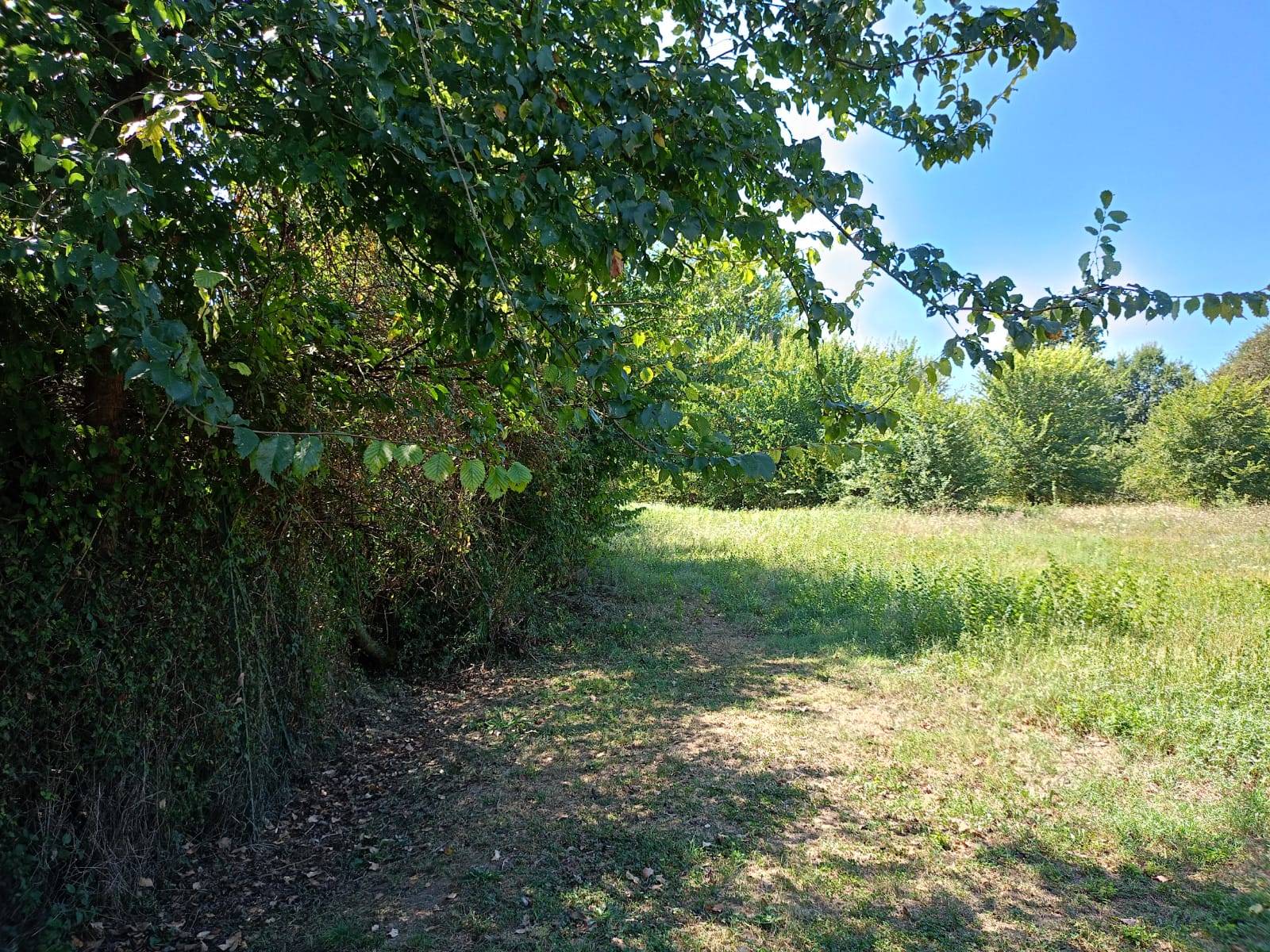 Casa indipendente in vendita a Ceccano