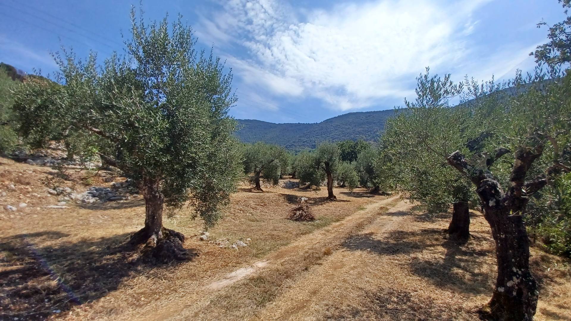 Terreno in vendita a Maenza