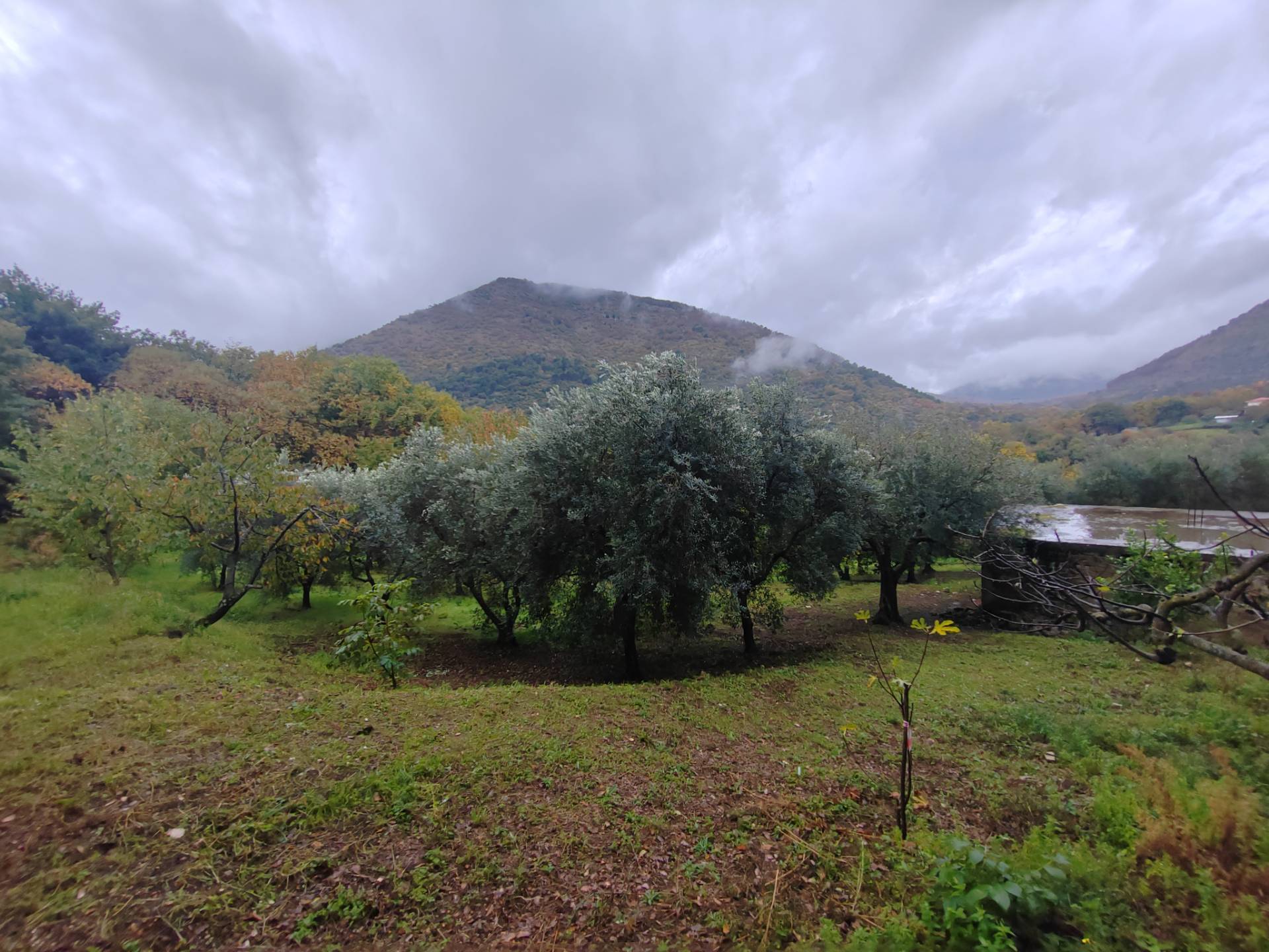 Terreno in vendita a Maenza