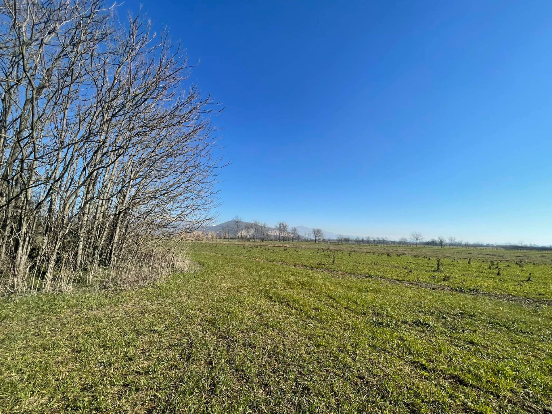 Rustico in vendita a Ferentino