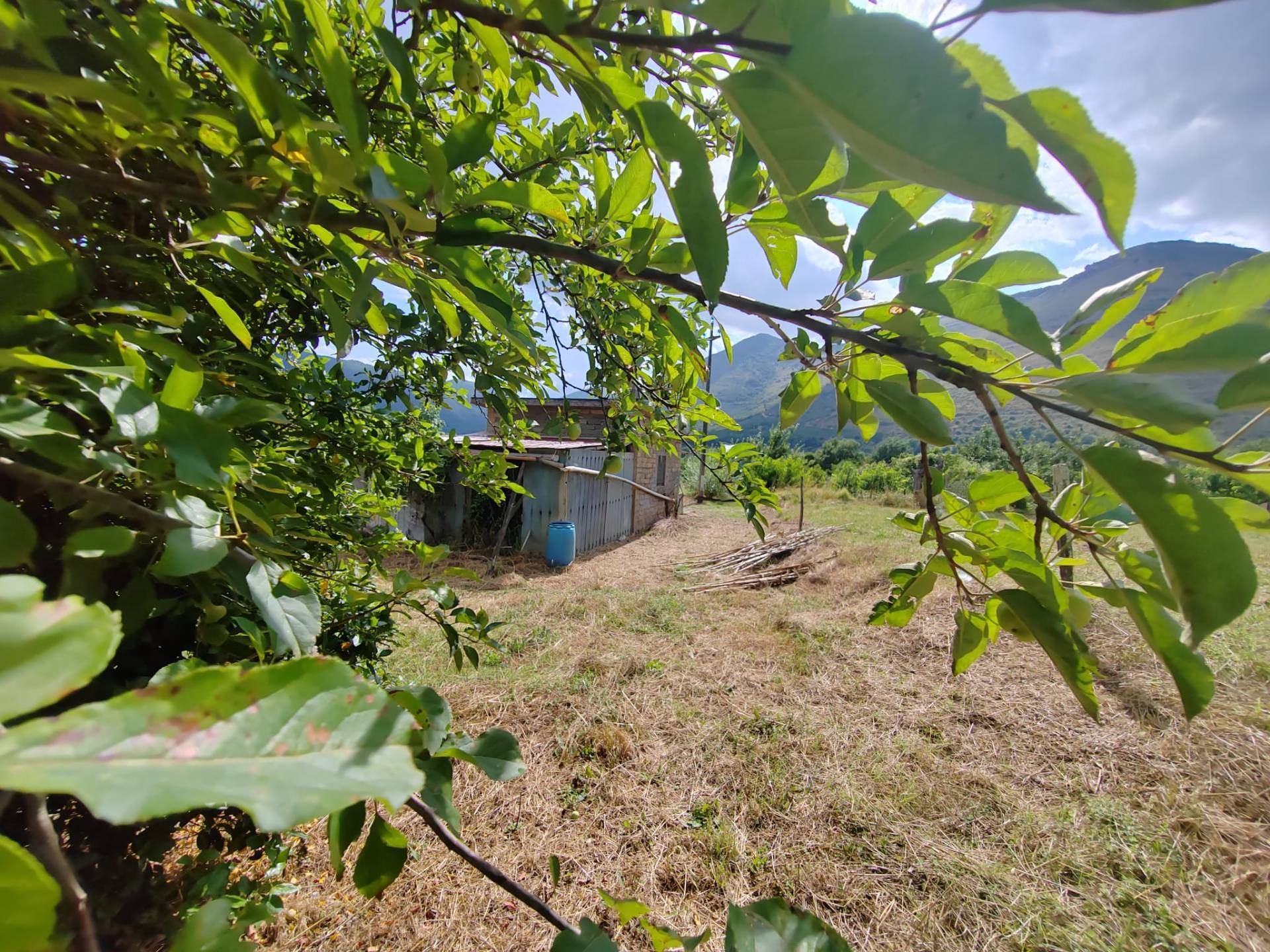 FABBRICATO in vendita a Vallecorsa